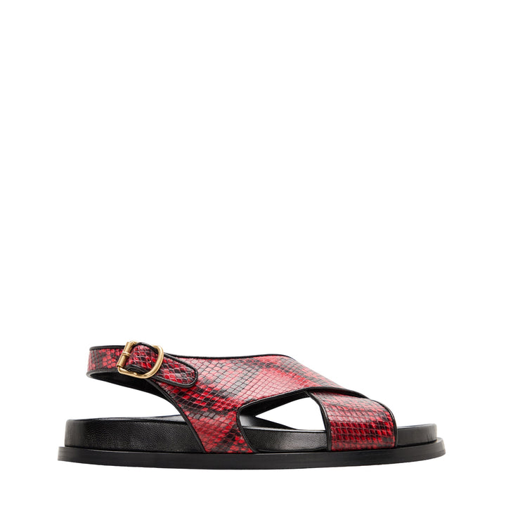 Alligator Cross Flat Sandal