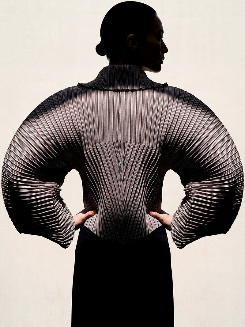 The Architectural Innovator