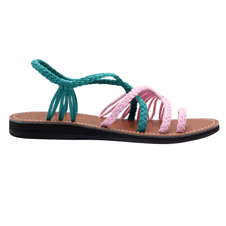 Explore Flamingo Teal