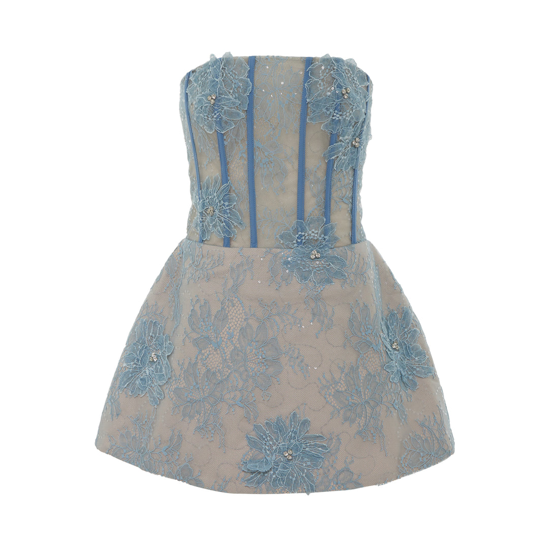 Corset Lace Mini Dress