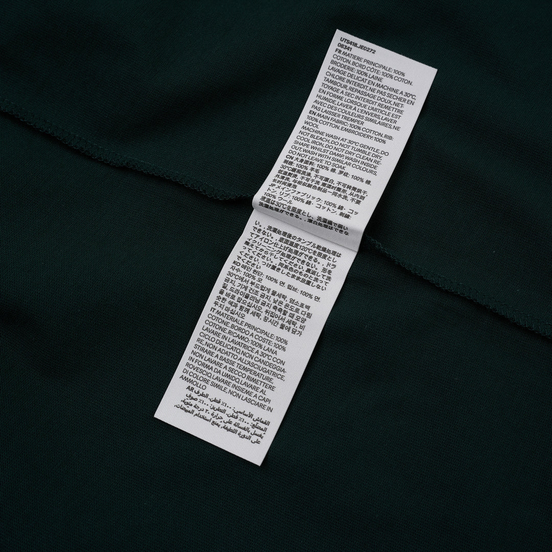 AMI Paris oversized t-shirt in dark green with cream contrast sleeves and collar, featuring white felt AMI PARIS lettering across the chest - view 4
