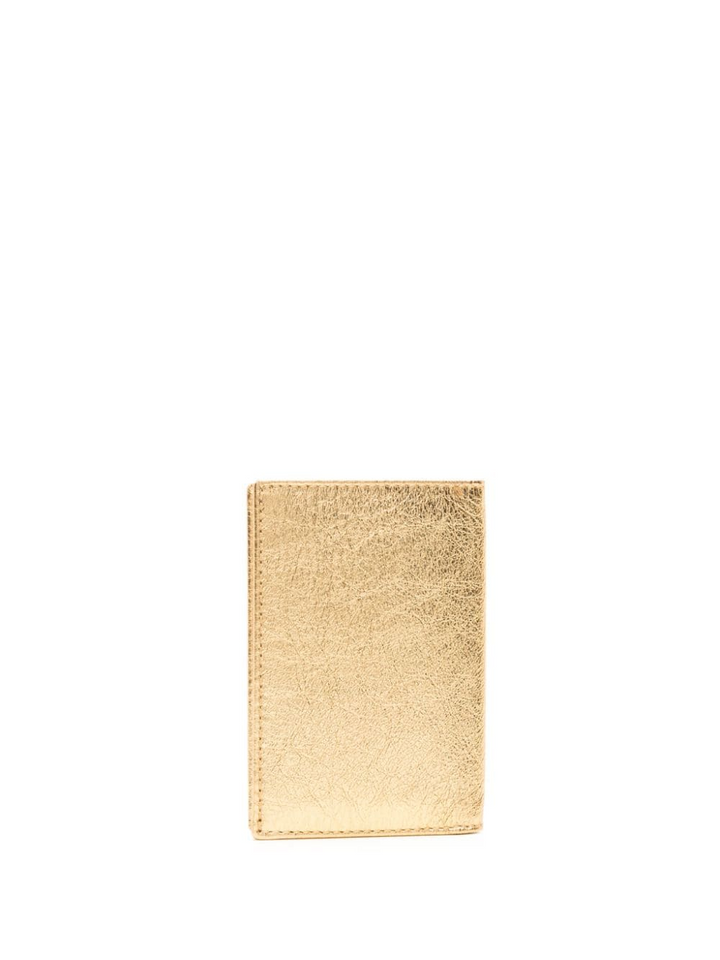 Gold And Silver Card Case