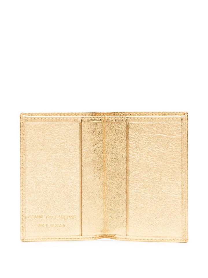 Gold And Silver Card Case