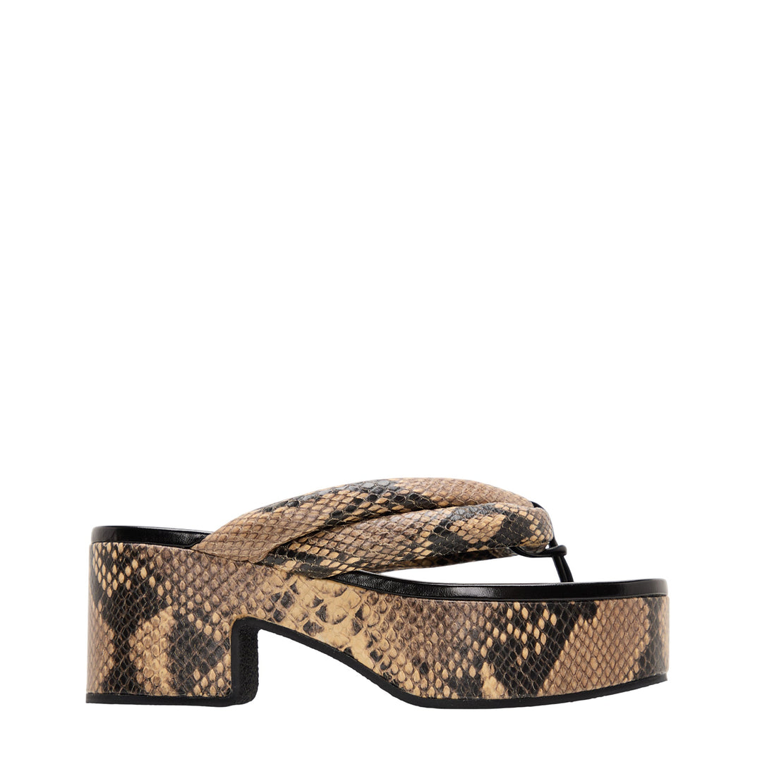 Alligator Flatform
