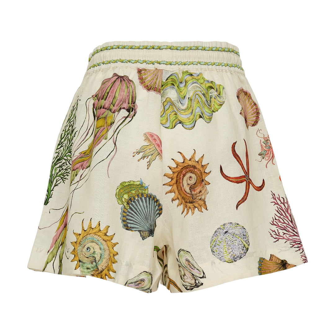 Sea Shorts