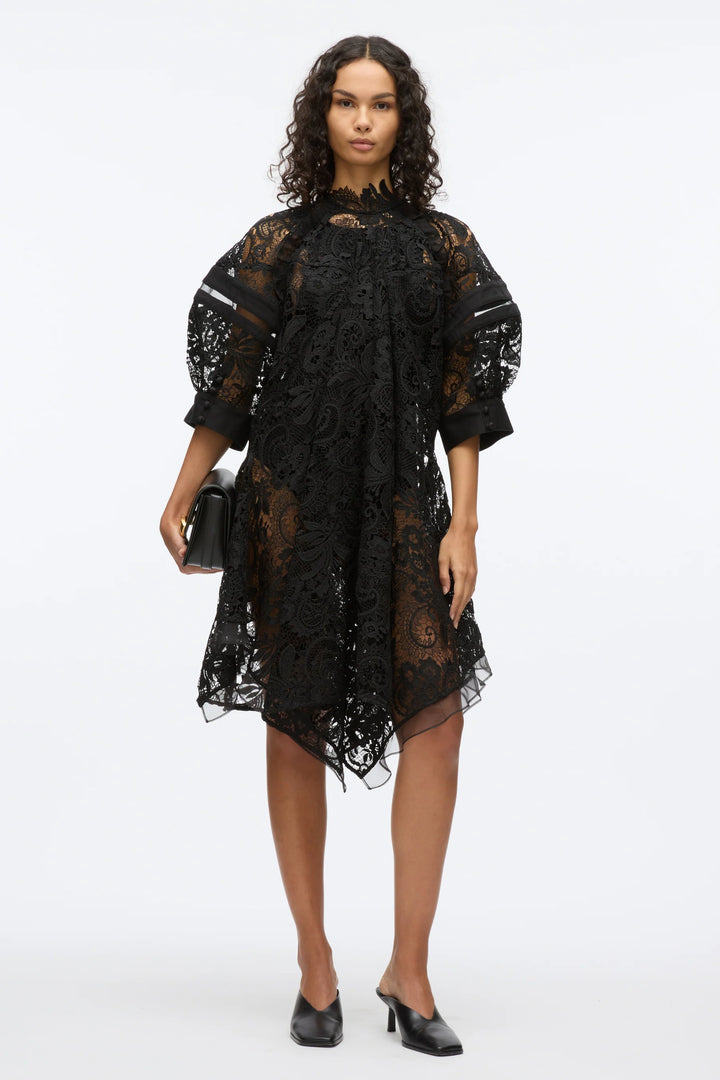 Corded Embroidered Lace Dress