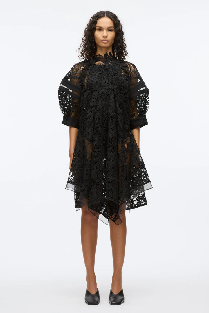 Corded Embroidered Lace Dress