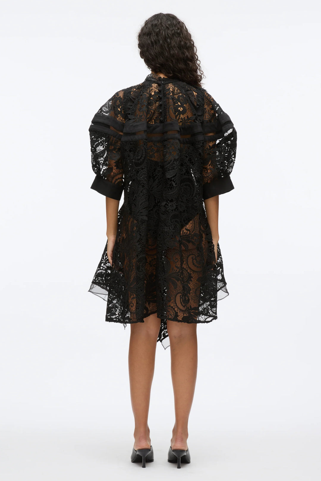Corded Embroidered Lace Dress