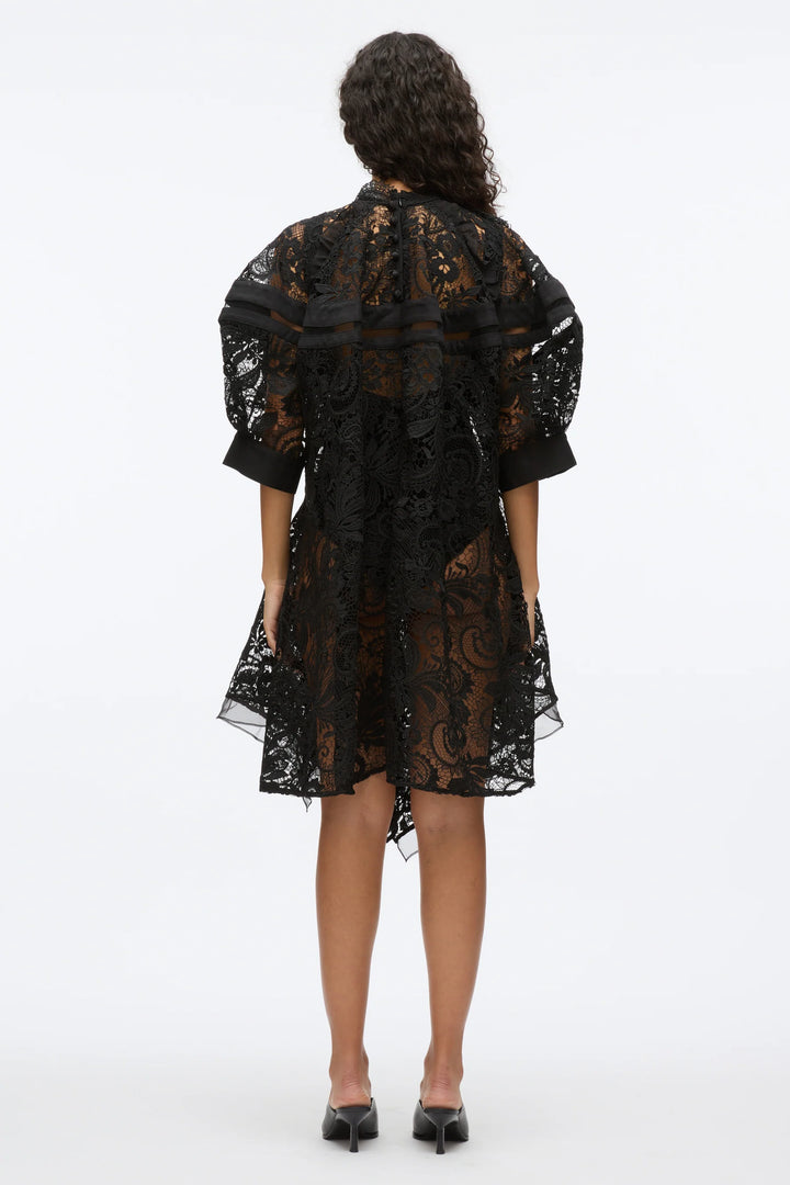 Corded Embroidered Lace Dress