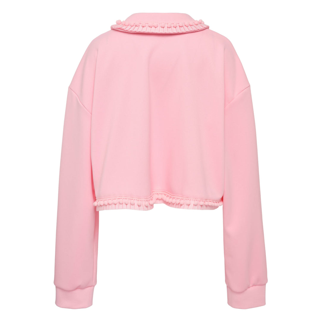 Applique Cropped Hoodie