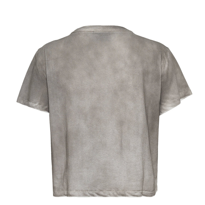 Washed Grey Cropped T-Shirt