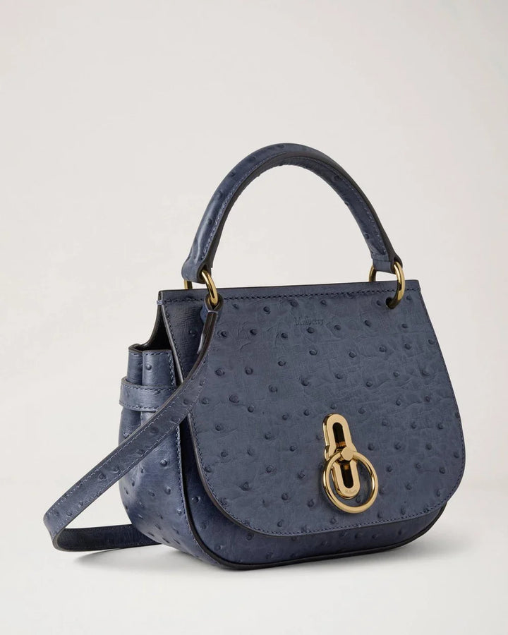 Small Amberley Satchel Top Handle Ostrich