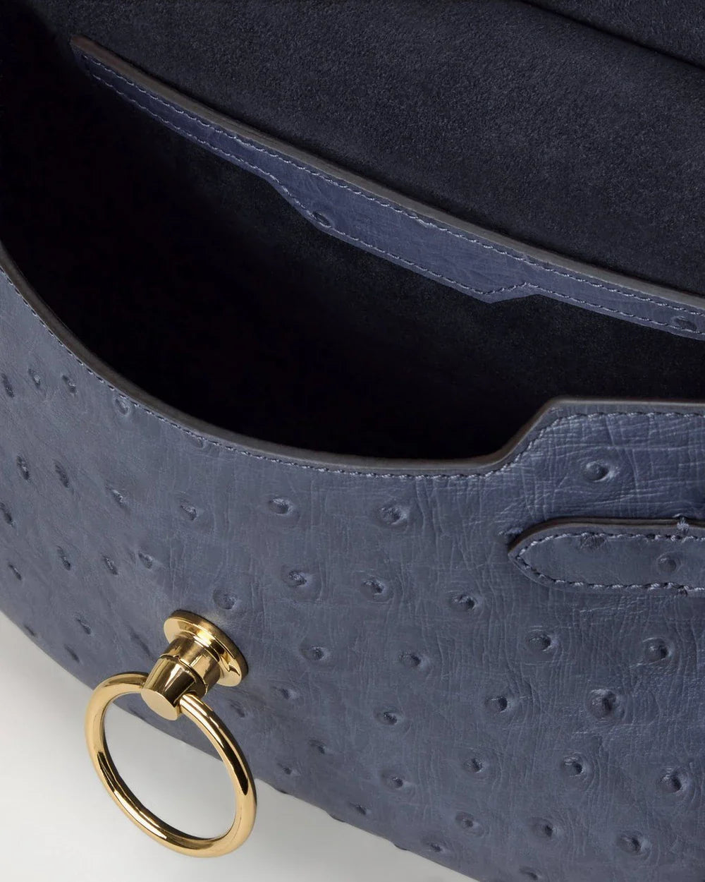 Small Amberley Satchel Top Handle Ostrich