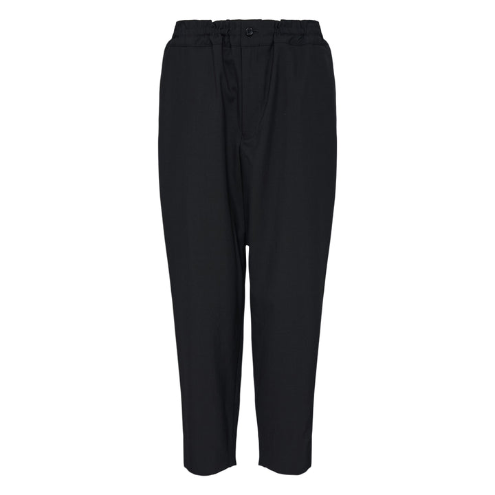 Black Wool Blend Tailored Fit Pants