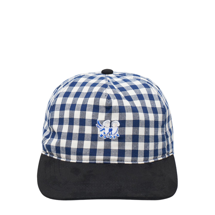 Embroidery Check Cap