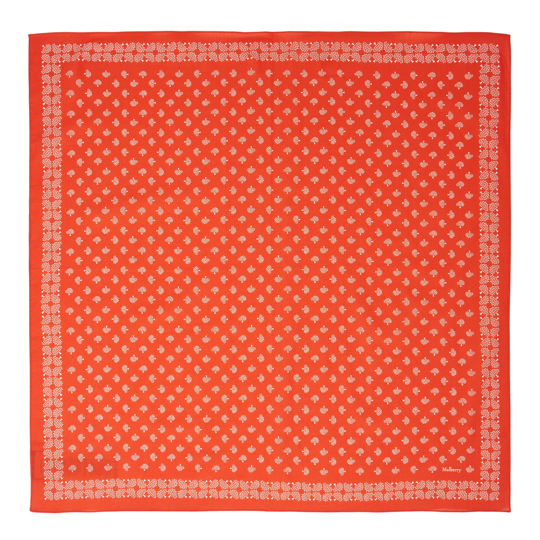 Mulberry Tree Cotton Scarf