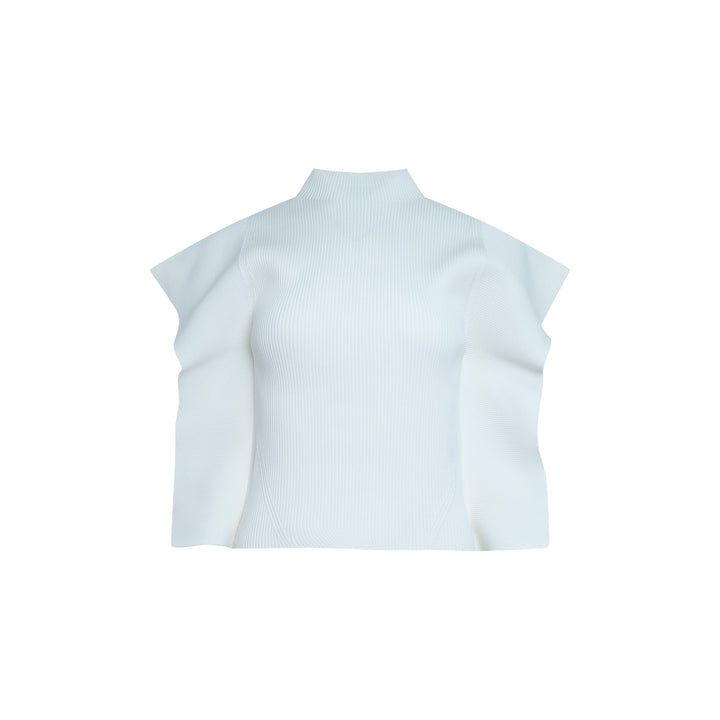 Portrait Crease Knit Top