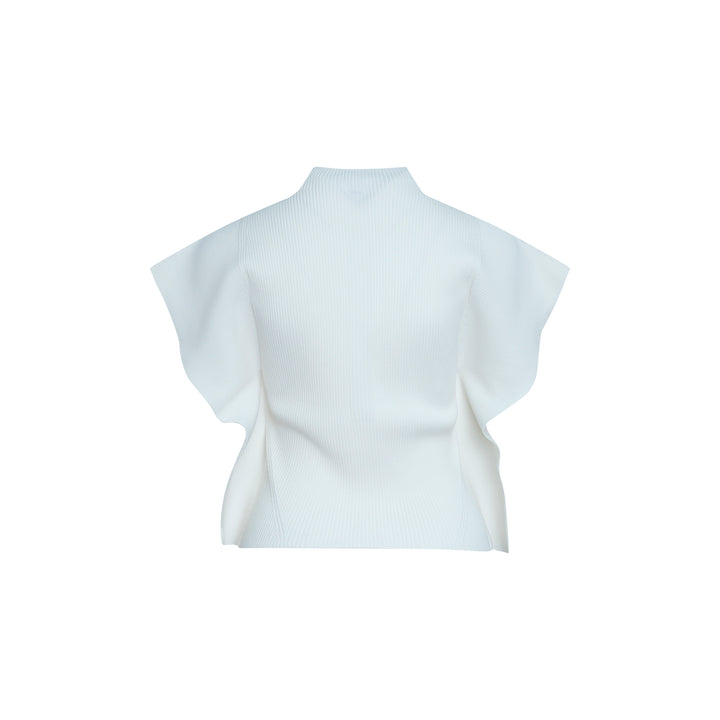Portrait Crease Knit Top
