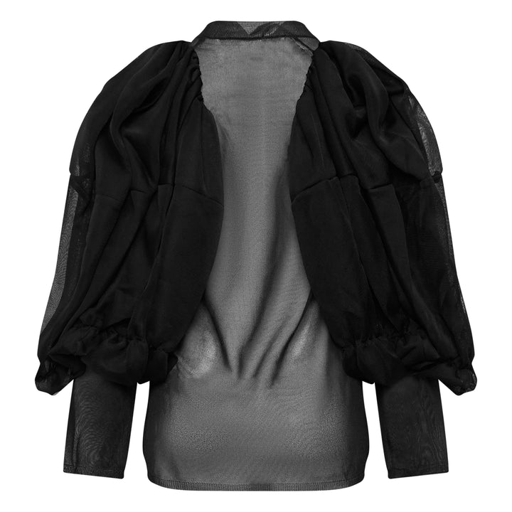Sheer Translucent Puff Sleeve Top