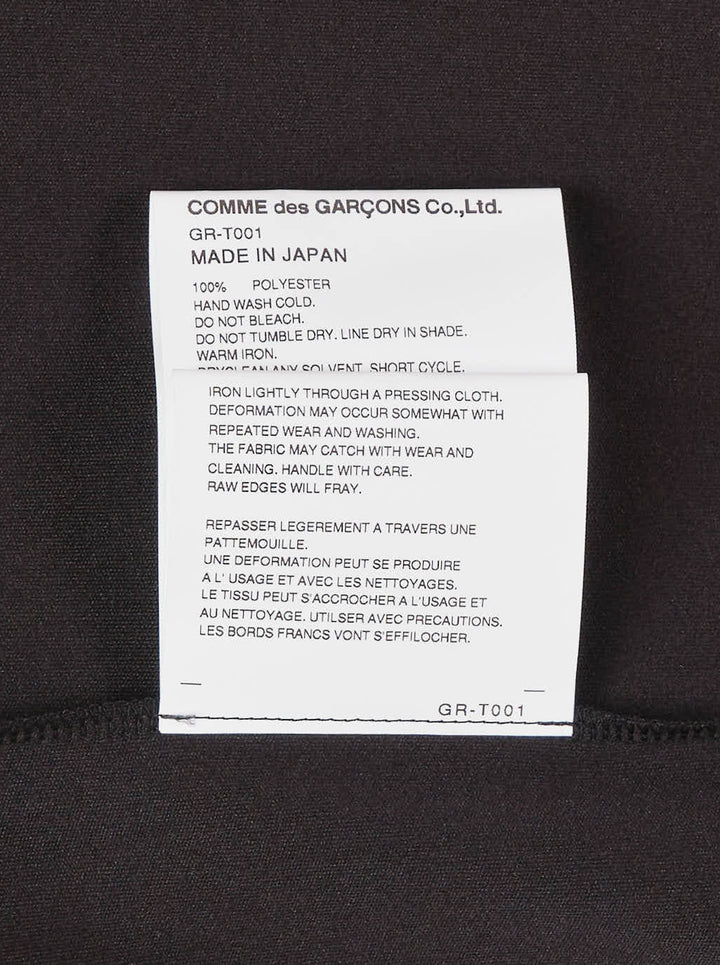 Comme des Garçons black sheer pleated dress with gathered tie neck and layered asymmetric hem, shown from the front - view 4