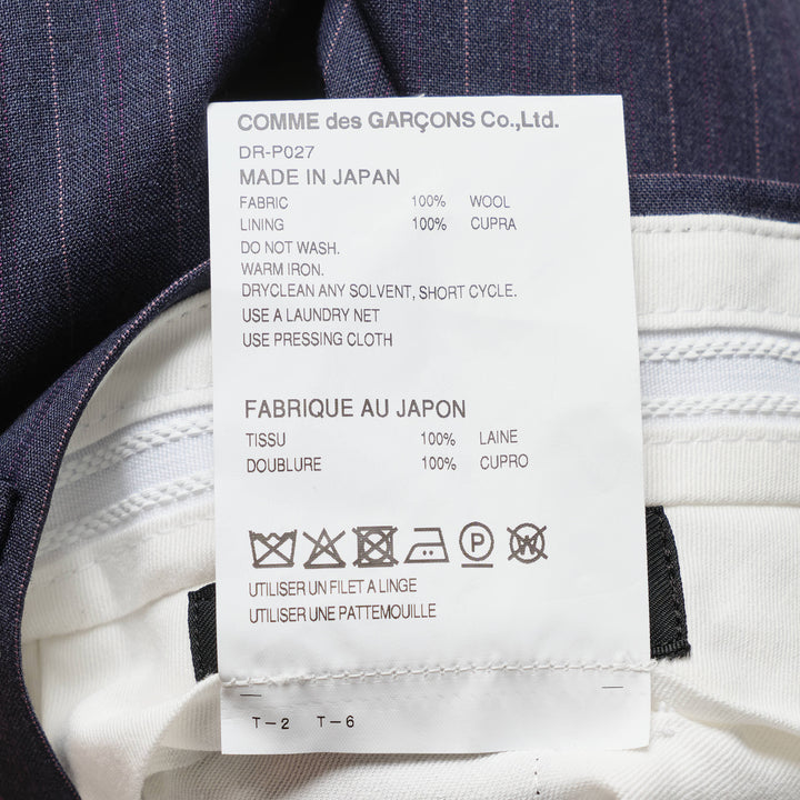 Wool Pinstripe Pleated Pants