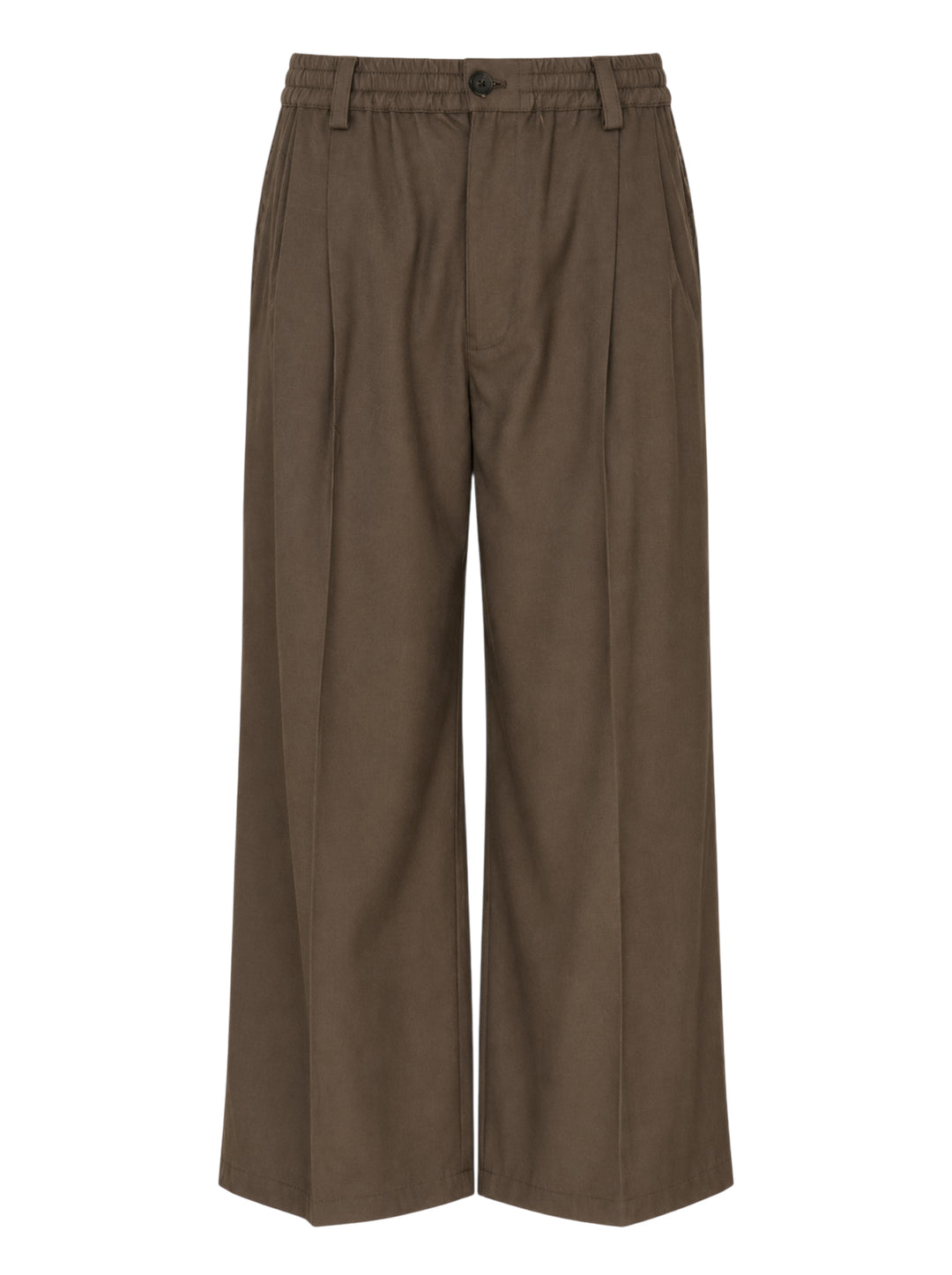 Brown wide-leg pleated trousers with an elasticated waistband, button closure and cropped hem, shown from the front