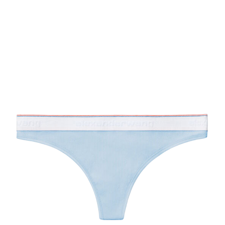 Bodywear_by_Alexander_Wang_Thong_Underwear_blue