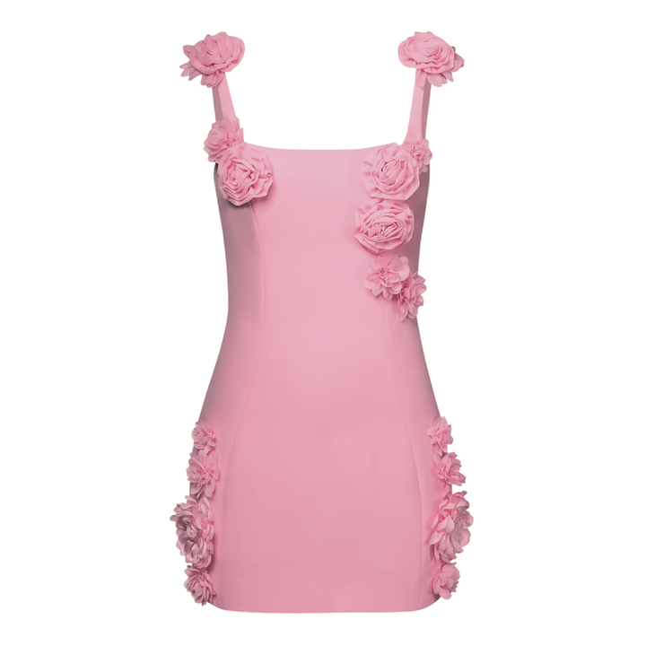 Elaina Rosette Applique Mini Dress
