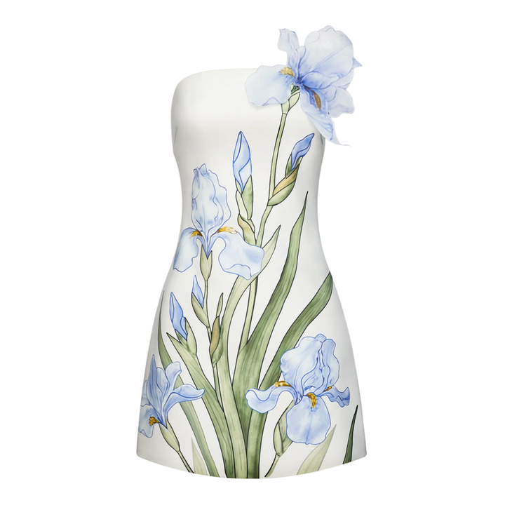 Floral Printed Mini Dress