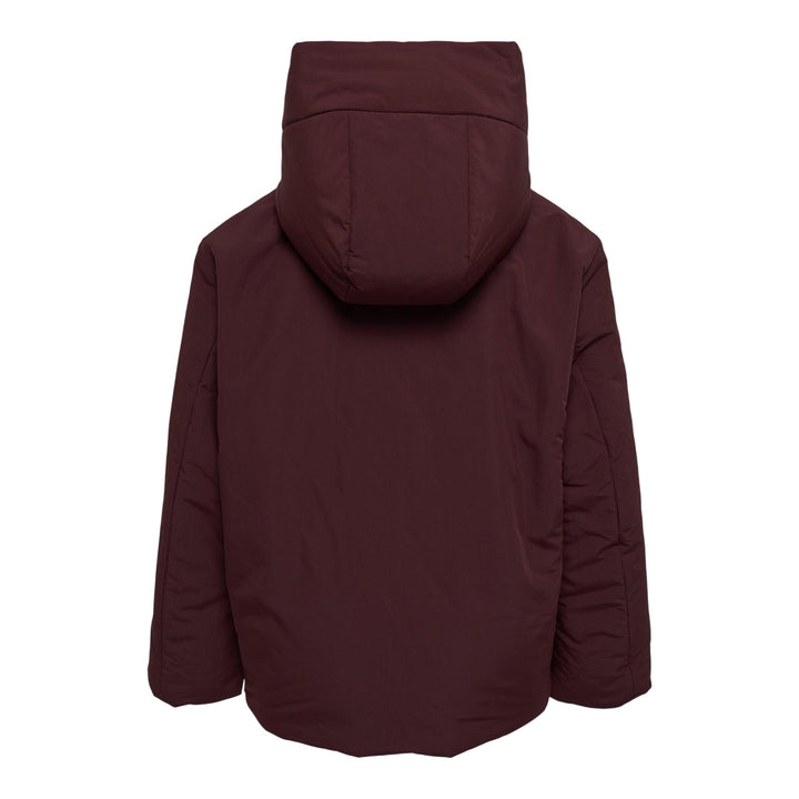 Club21 - Jil Sander - Down Jacket - BLOUSON - Dark Brown
