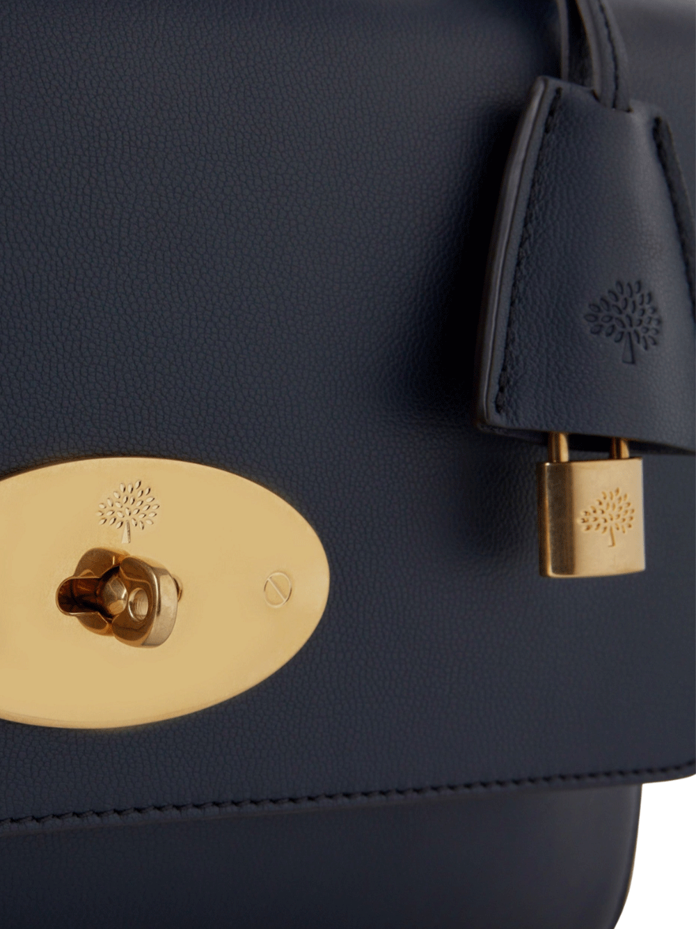 Mulberry-Medium-Lily-Night-Sky-Micro-Classic-Grain-Night-Sky-5