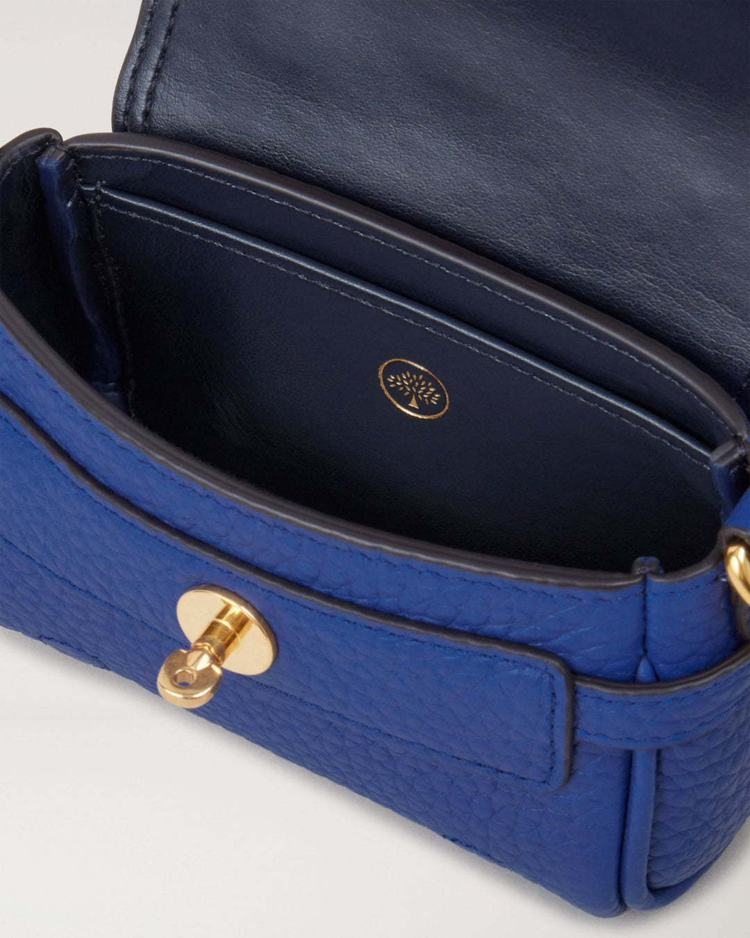 Mulberry-Micro-Alexa-Top-Handle-Heavy-Grain-Blue-4