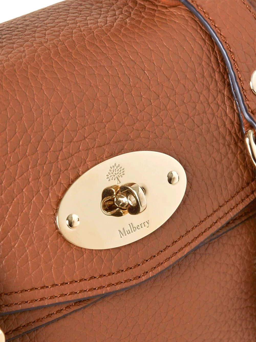 Mulberry-Mini-Alexa-Chestnut-Heavy-Grain-Chesnut-5