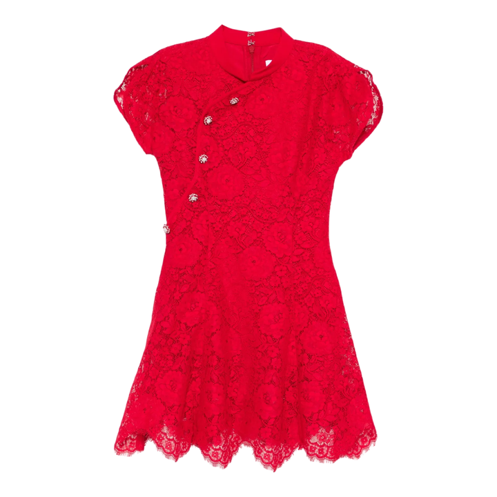 Red Fine Lace Mini Dress